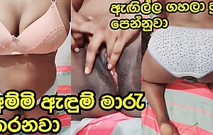 Sri Lankan Big Boobs Girl Pussy Fingering