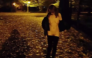 She flashing tits and undresses in a public park readily obtainable night